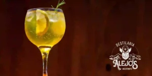 Aprenda a Melhor Receita de Gin Tônica com Mel!